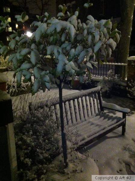 Snow Tree