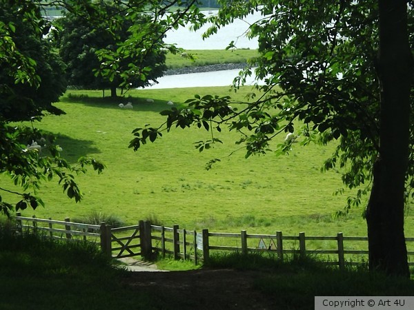 Rutland Water