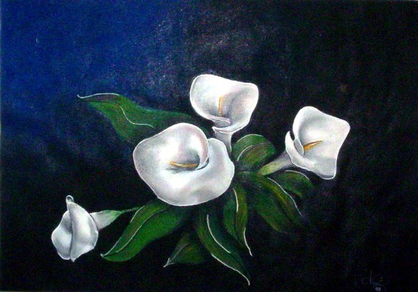 lilies