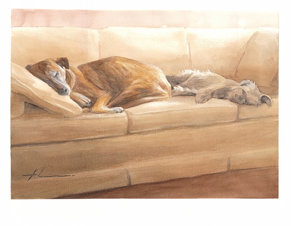 dogs sleeping watercolor painting theuer