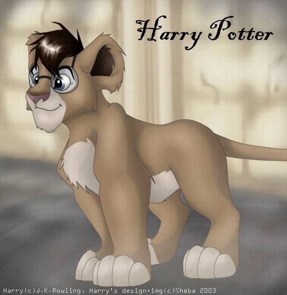 Harry Potter [(c)J.K.Rowling]