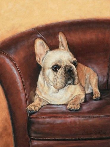 French Bulldog