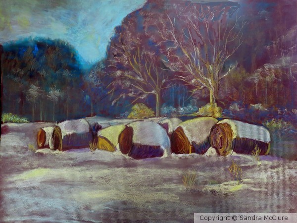 Frosted Hay Bales