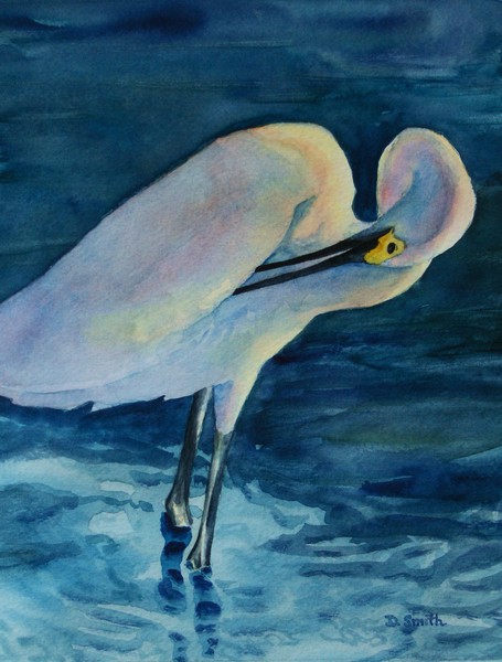 ...Nor Egrets