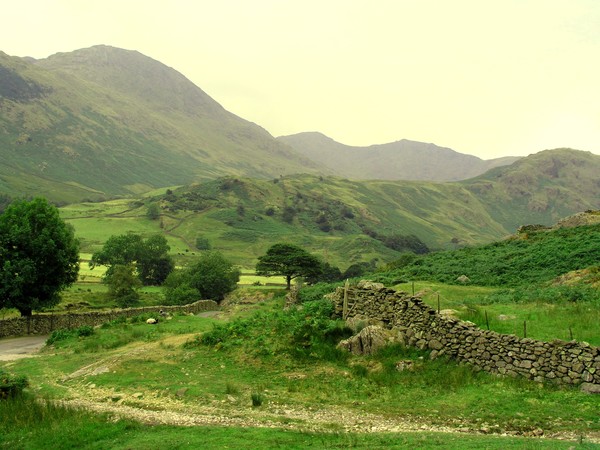 By A Dry Stone Wall