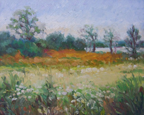 Golden Meadow