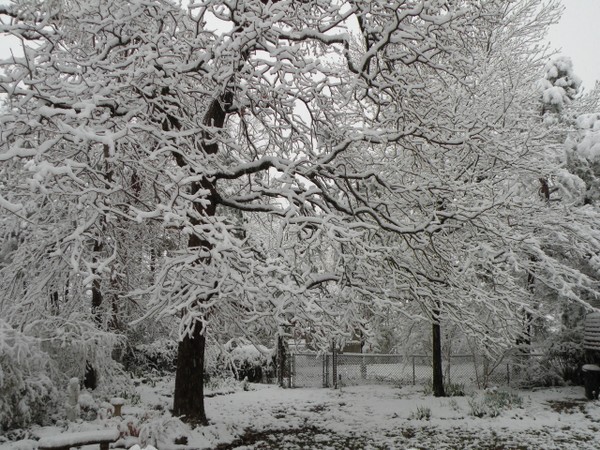 First day of Spring?