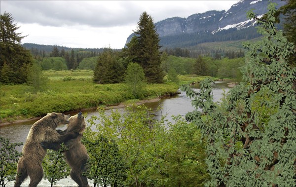 987-Last Tango in Alaska