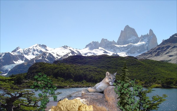 1042B-Cougar Lake