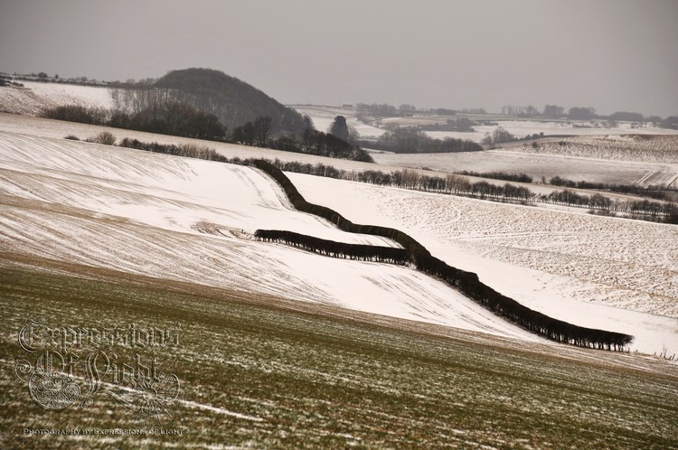 ExpoLight-The-Lincolnshire-Wolds-Winter-18-03-2018-0021 (SP)