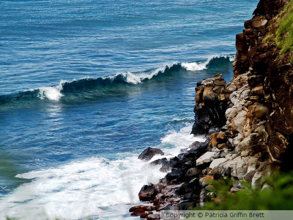 Hawaii Coast