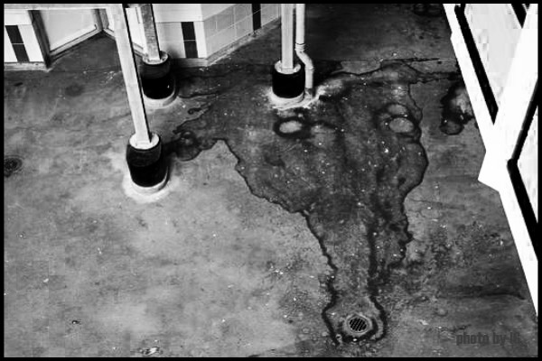 waterloo self stain amsterdam