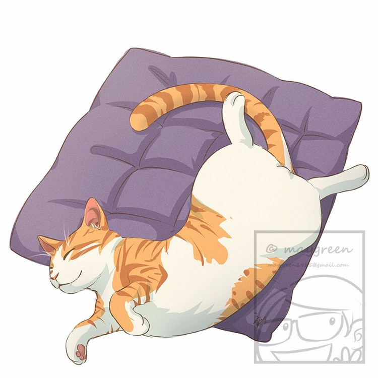 Sleeping Cat Orange Tabby