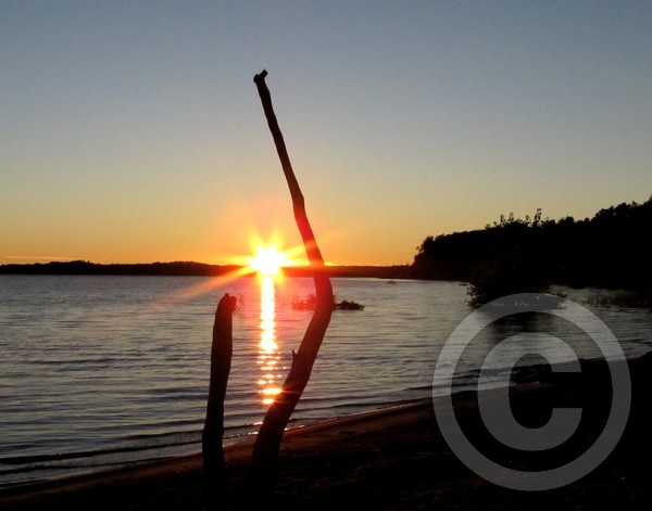 Driftwood sunset!