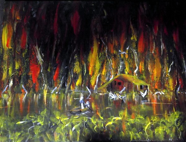 bush fire near the river