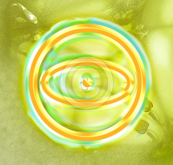 The Female Thought Forms