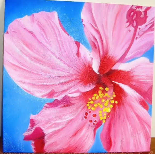 Hibiscus