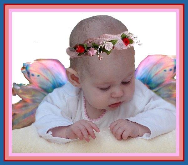Baby Princess Butterfly