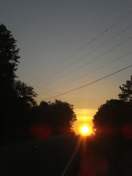 DSC03698