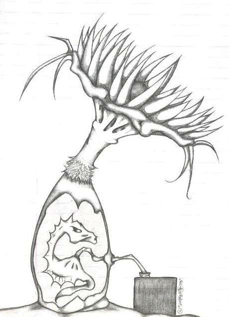 birth