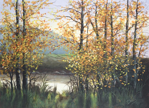 Fall Trees in the Breeze
