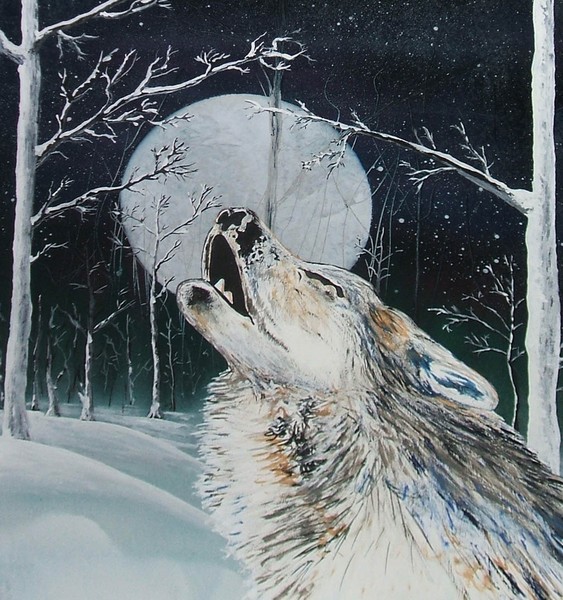 Winter Wolf