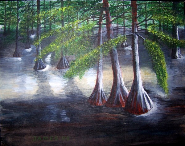 Cajun Swamp