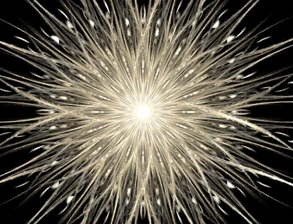 dandilion