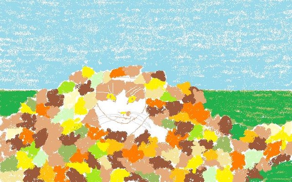 Autumn Cat