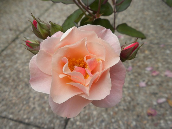 just for you