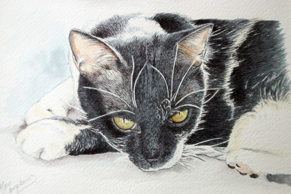 Portrait of Hector