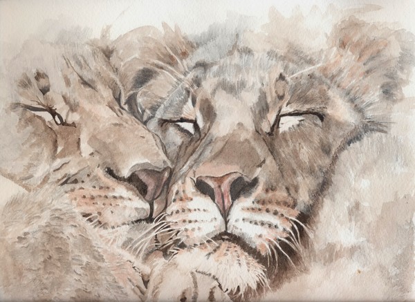 Lions
