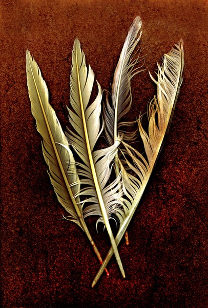 four fine feathers