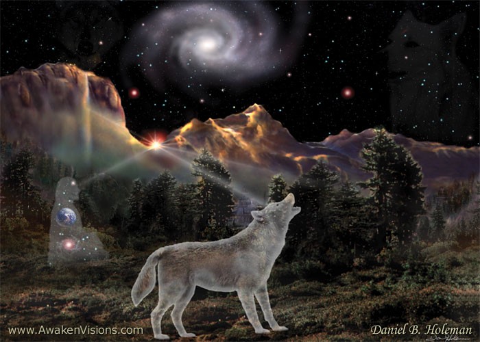 H029StarWolf 5x7