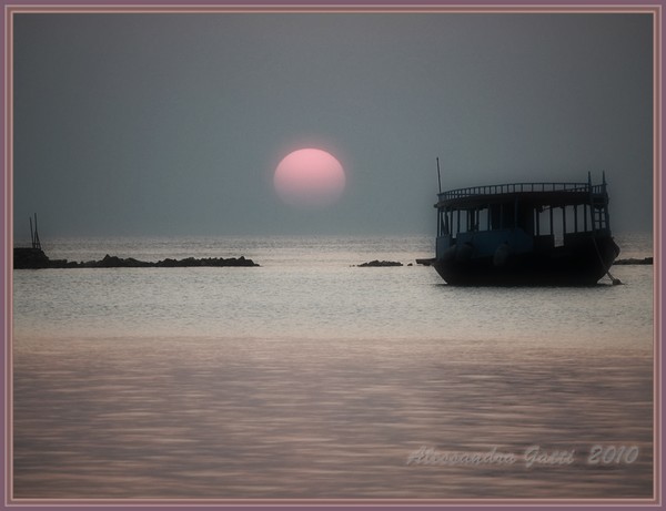 *Warm Summer Night*