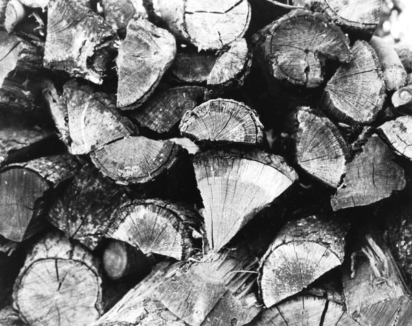 Firewood
