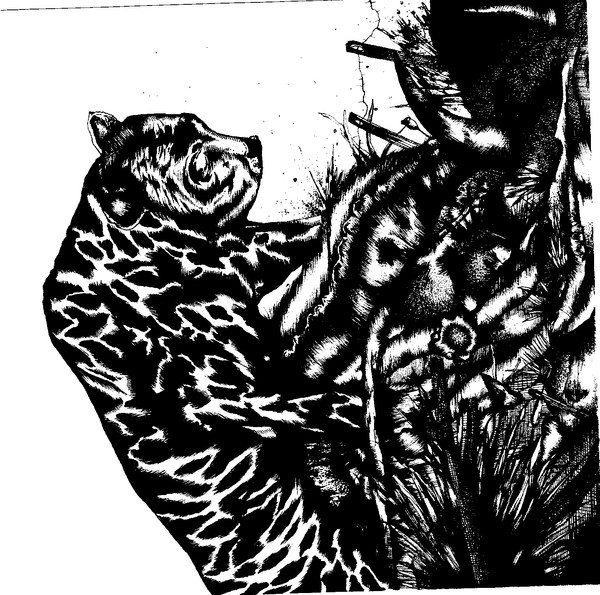 Tiger and Bull