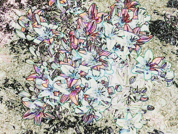 Essence of Nature 3