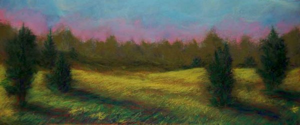 yellow field