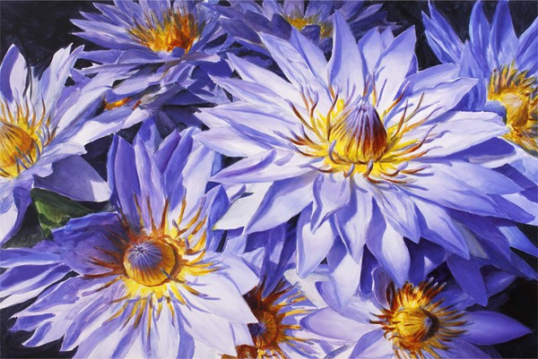 Lotus Light - Maui Flowers