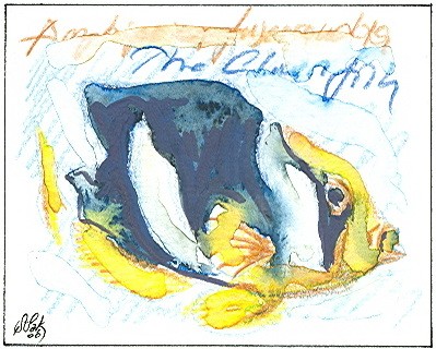 fish-WATERCOLORS,5
