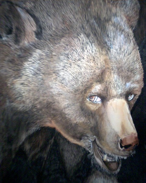 Bear in ink