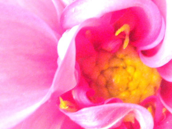 center