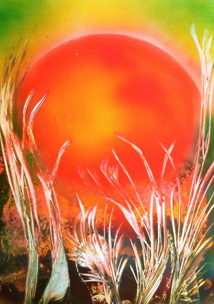Burning Sun