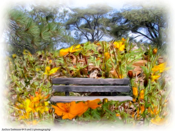 Bench Flowers Oil