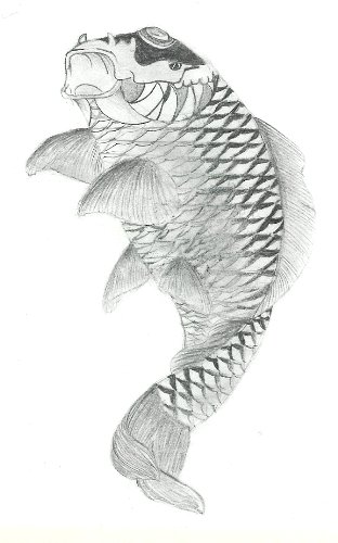 coy fish