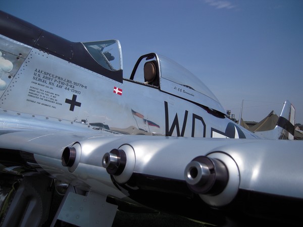 Mustang Firepower