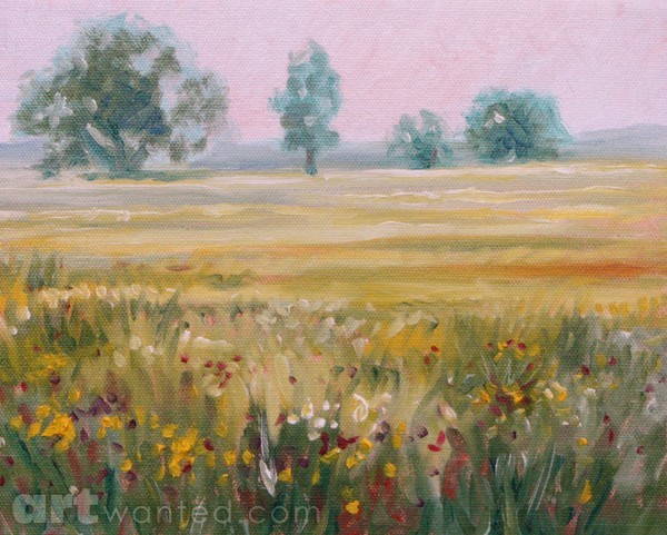 Foggy field near twilight in PA