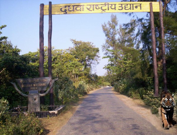 dudhwa