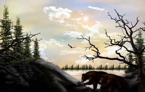 A Wilderness Adventure